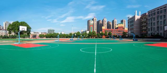 尊龙凯时人生就是博中国官网硅PU球场施工：打造专业运动地面的秘诀(图3)